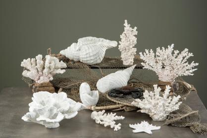 A Lot Dekoration - Dekoration Koral Poly White 26x6x18,5cm , hemmetshjarta.dk
