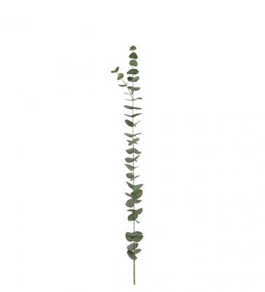 Kunstig Eucalyptus Fibertr. 120 cm , hemmetshjarta.dk