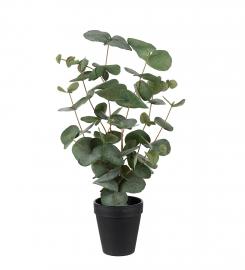 Kunstig Eukalyptus plante 55 cm , hemmetshjarta.dk