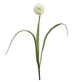 Kunstig Allium 40 cm , hemmetshjarta.dk