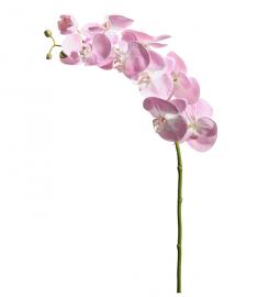 Kunstig Orkidéstilk Phalaenopsis Orkideer 75 cm , hemmetshjarta.dk