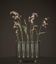 A Lot Dekoration - Vase Reagensglas med stativ 31,5 cm - antik messing , hemmetshjarta.dk