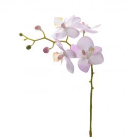 Kunstig Orkidéstilk Phalaenopsis Orkideer 28 cm , hemmetshjarta.dk