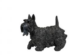 A Lot Dekoration - Dekoration Hund Scottish Terrier Poly 13x12,5cm , hemmetshjarta.dk