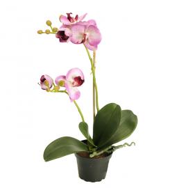 Kunstig Phalaenopsis Orkideer 45 cm , hemmetshjarta.dk