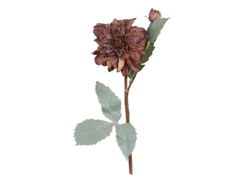 Chic Antique Fleur Dahlia L50 cm mocca , hemmetshjarta.dk