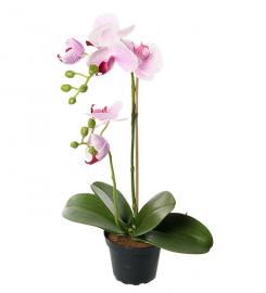 Kunstig Phalaenopsis Orkideer 45 cm , hemmetshjarta.dk