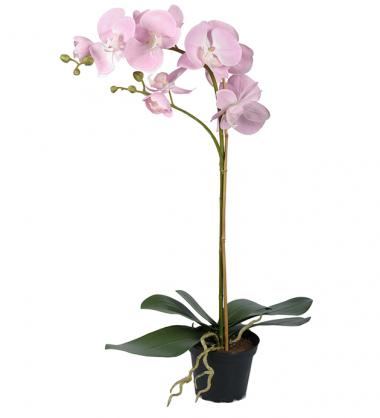 Kunstig Phalaenopsis Orkideer 60 cm , hemmetshjarta.dk