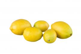 Citron 6-9cm 8-pak , hemmetshjarta.dk