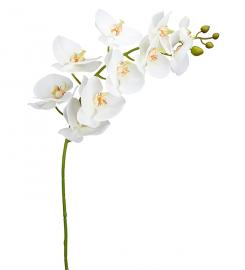 Kunstig Orkidéstilk Phalaenopsis Orkideer. 105 cm , hemmetshjarta.dk