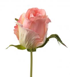 Kunstig Rose stilk - 25 cm , hemmetshjarta.dk
