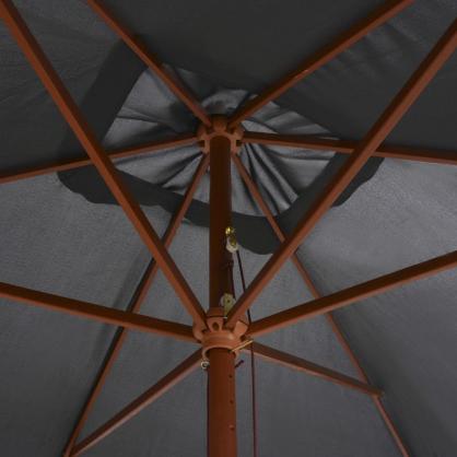 Parasol med trstang 200x300 cm antracit , hemmetshjarta.dk