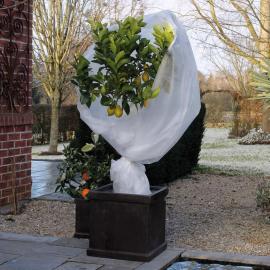 Have Frostbeskyttelse til planter fleece 30 g/m² hvid 1x10 m , hemmetshjarta.dk