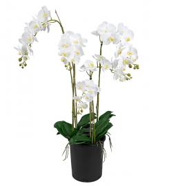 Kunstig Phalaenopsis Orkideer .130 cm , hemmetshjarta.dk