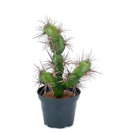Kunstig Kaktus 20 cm , hemmetshjarta.dk