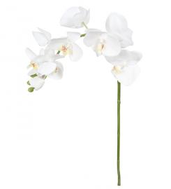 Kunstig Orkidéstilk Phalaenopsis Orkideer 75 cm , hemmetshjarta.dk