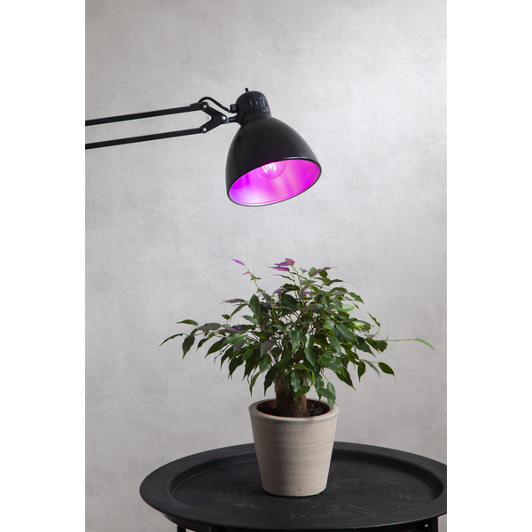LED-Pre E27 A60 Plant Light , hemmetshjarta.dk