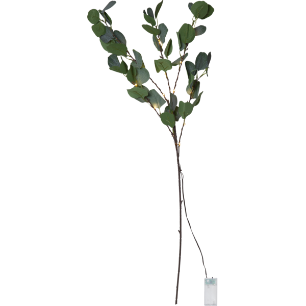 Batteridrevet kvist Eucalyptus 90 cm , hemmetshjarta.dk