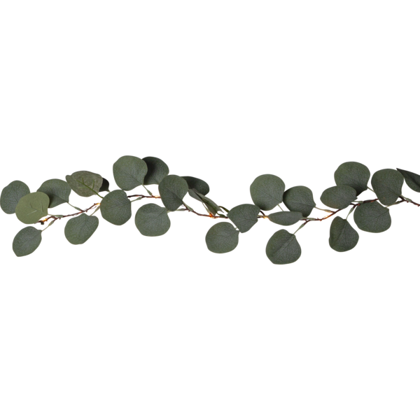 Ranke Eucalyptus 180 cm , hemmetshjarta.dk