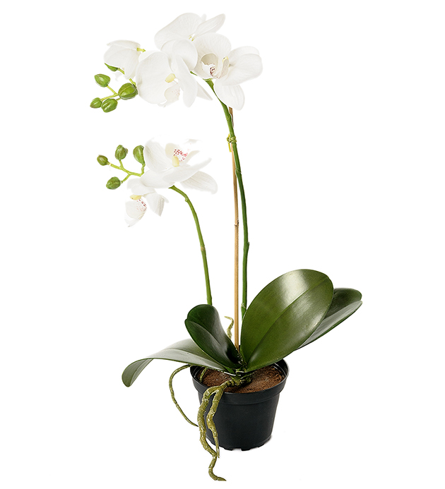 Kunstig Phalaenopsis 45 cm , hemmetshjarta.dk