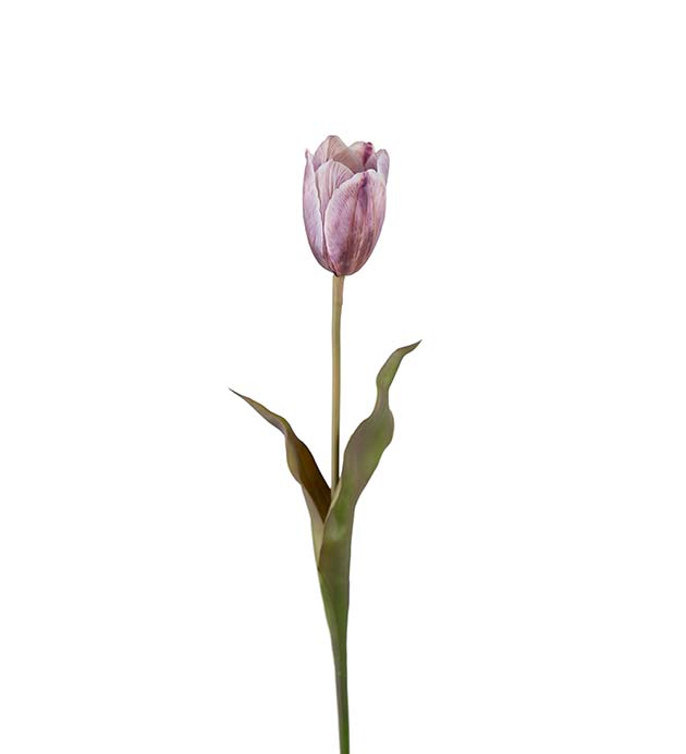 Kunstig Tulipan 58 cm , hemmetshjarta.dk