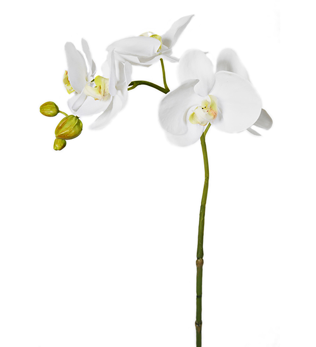 Kunstig Orkidstilk Phalaenopsis Orkideer 65 cm , hemmetshjarta.dk