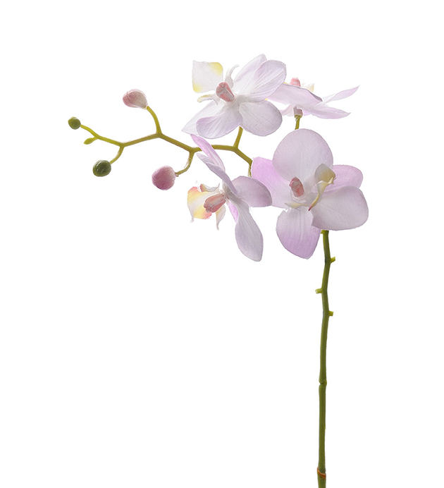 Kunstig Orkidstilk Phalaenopsis Orkideer 28 cm , hemmetshjarta.dk