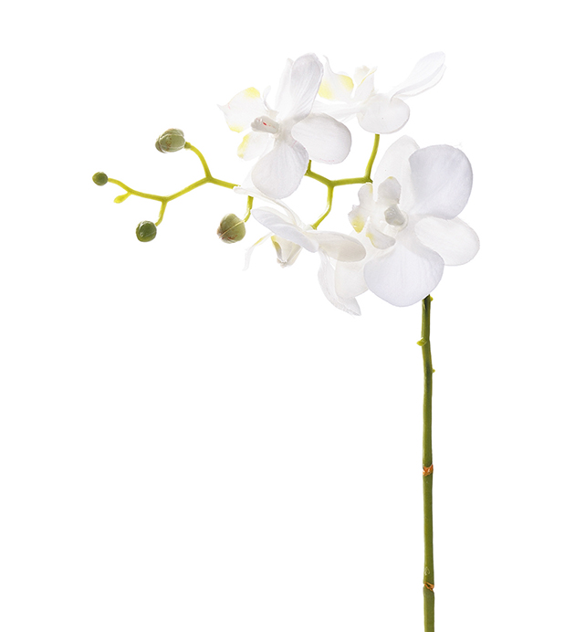 Kunstig Orkidstilk Phalaenopsis Orkideer 28 cm , hemmetshjarta.dk