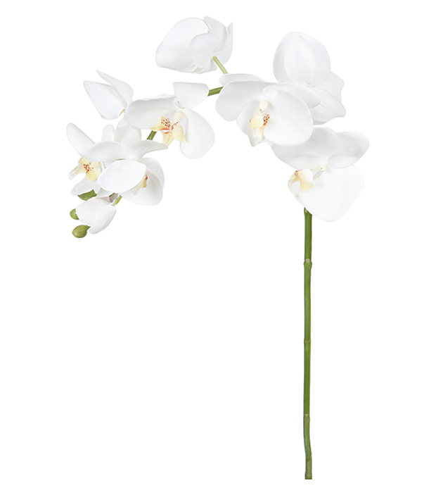 Kunstig Orkidstilk Phalaenopsis Orkideer 75 cm , hemmetshjarta.dk